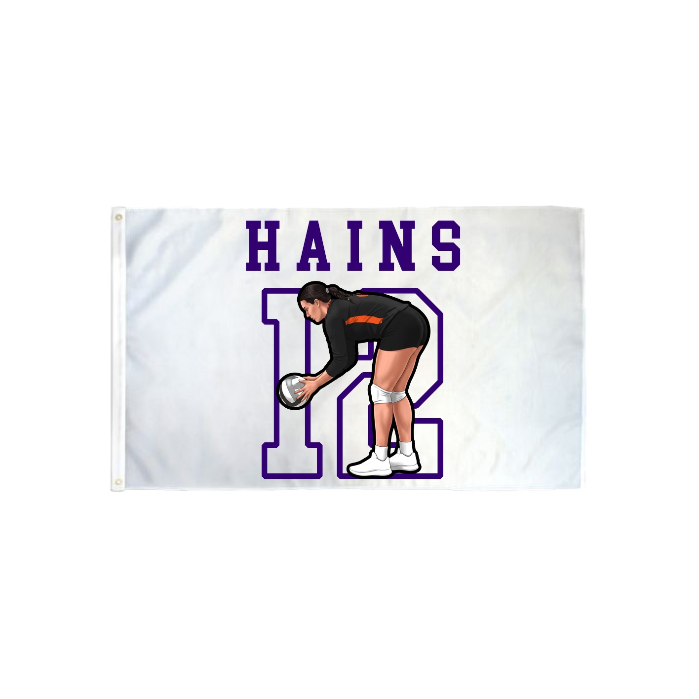 3x5 Flag — Shirsey in Classic