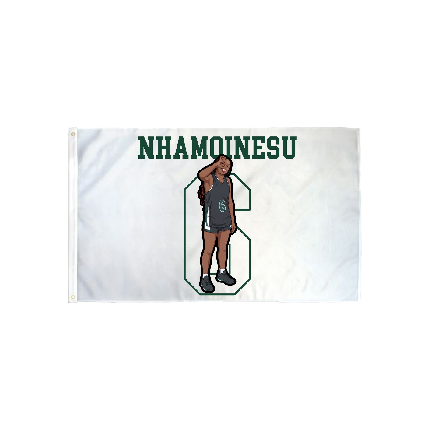 3x5 Flag — Shirsey in Classic