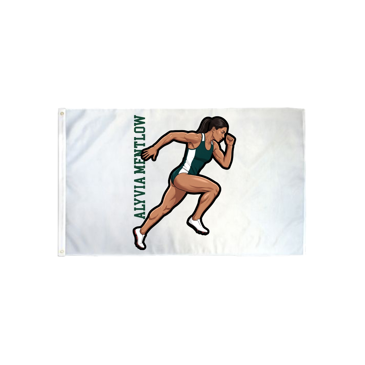 3x5 Flag