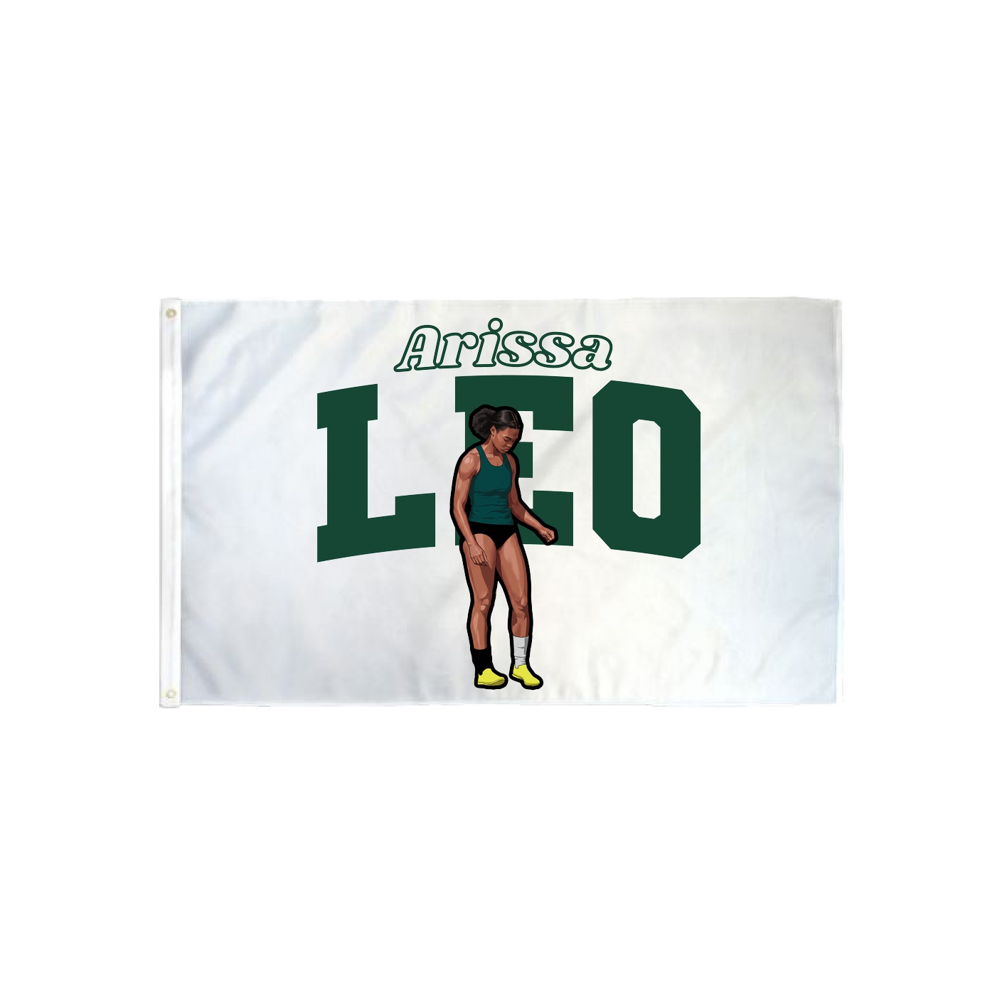 3x5 Flag — Name Arch in Classic