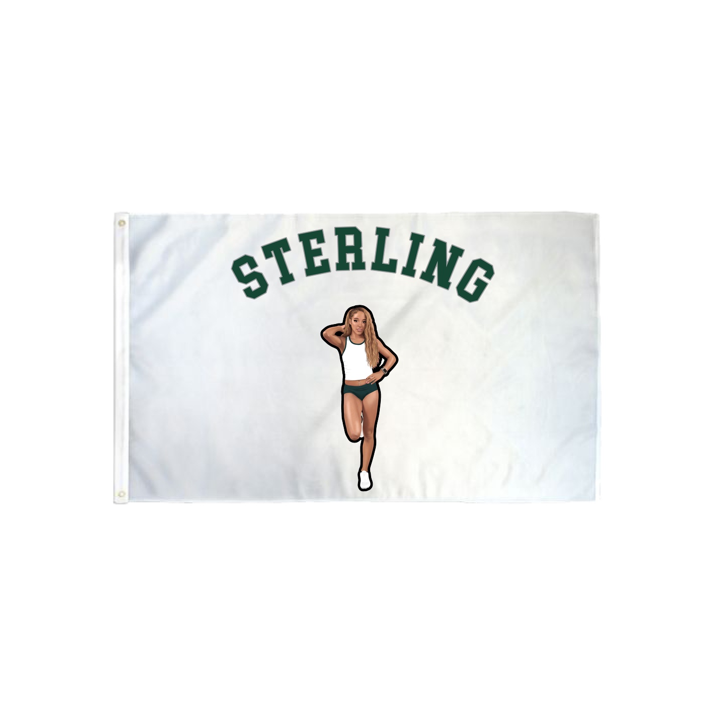 3x5 Flag — Shirsey Arch in Classic
