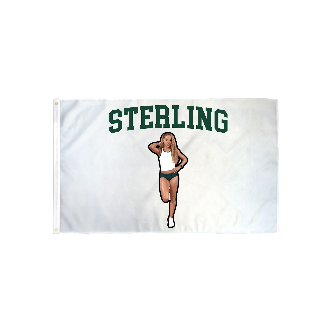 3x5 Flag — Shirsey in Classic