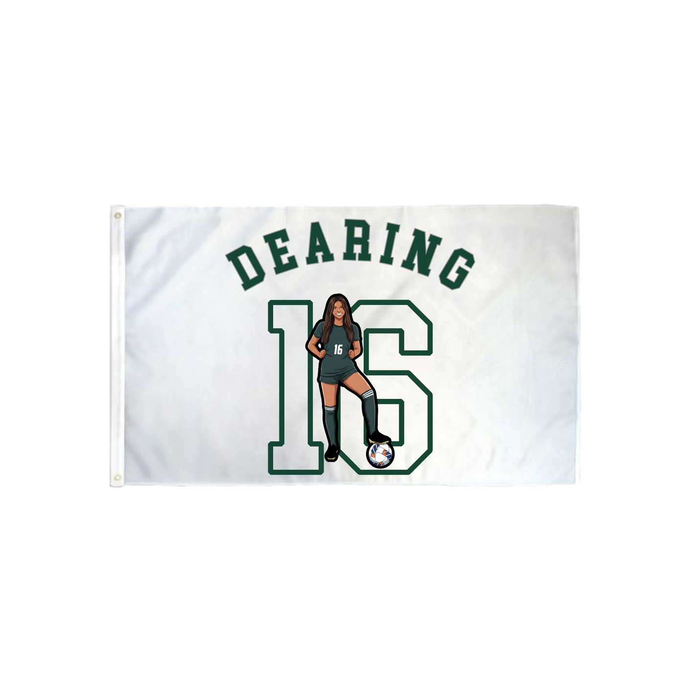 3x5 Flag — Shirsey Arch in Classic