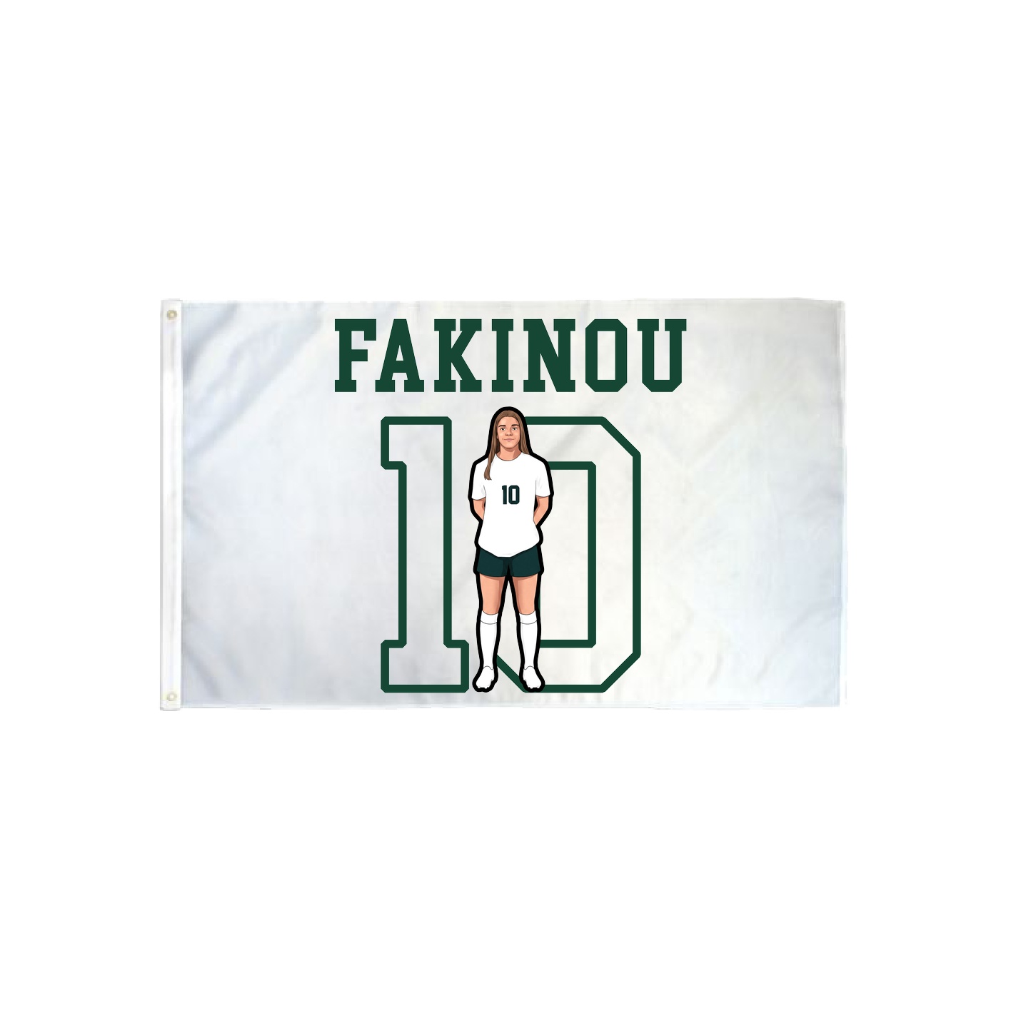 3x5 Flag — Shirsey in Classic