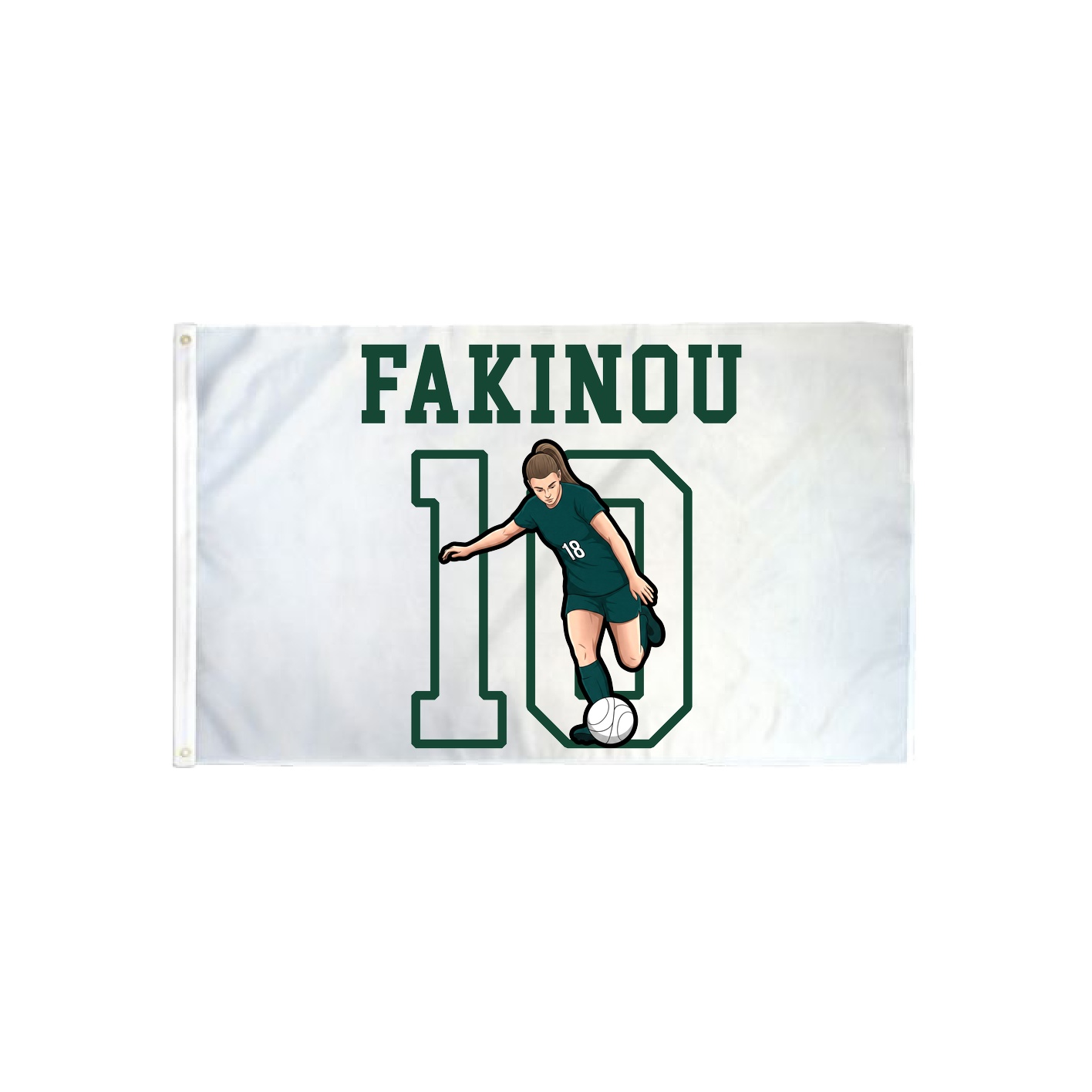 3x5 Flag — Shirsey in Classic