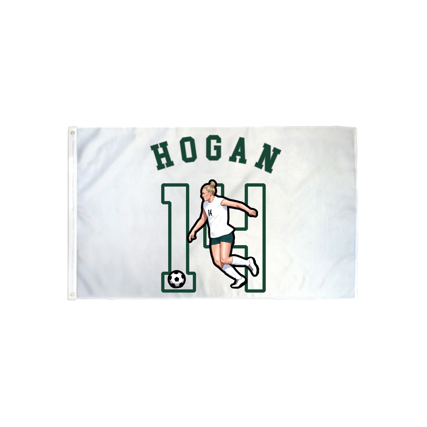 3x5 Flag — Shirsey Arch in Classic