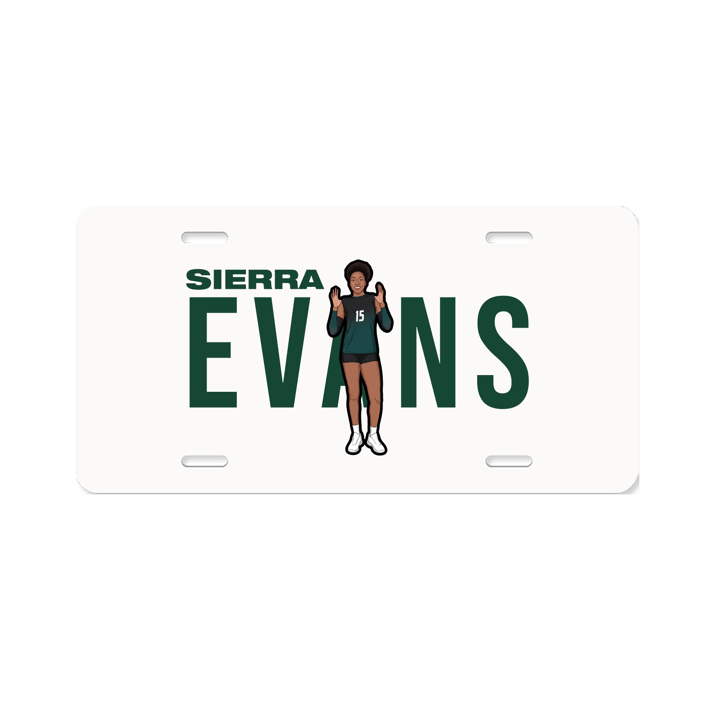 License Plate