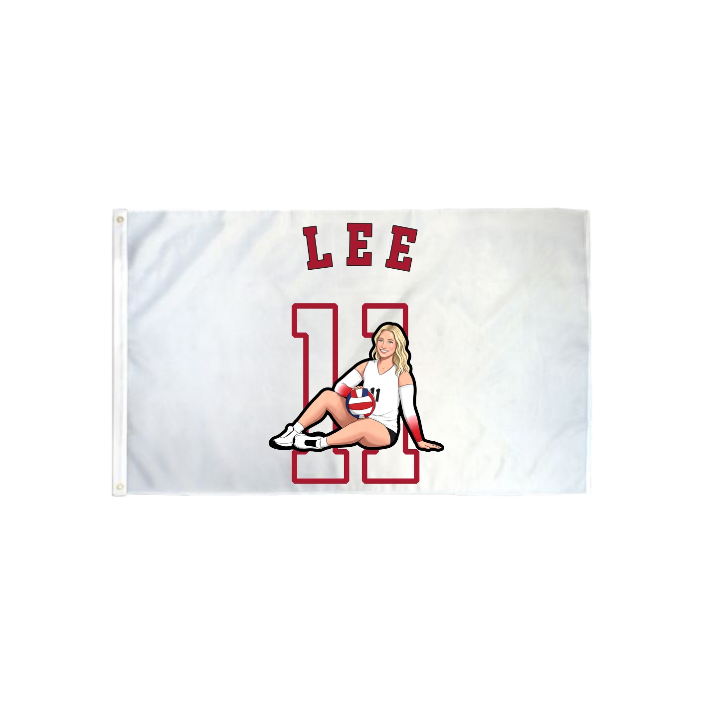 3x5 Flag — Shirsey Arch in Classic