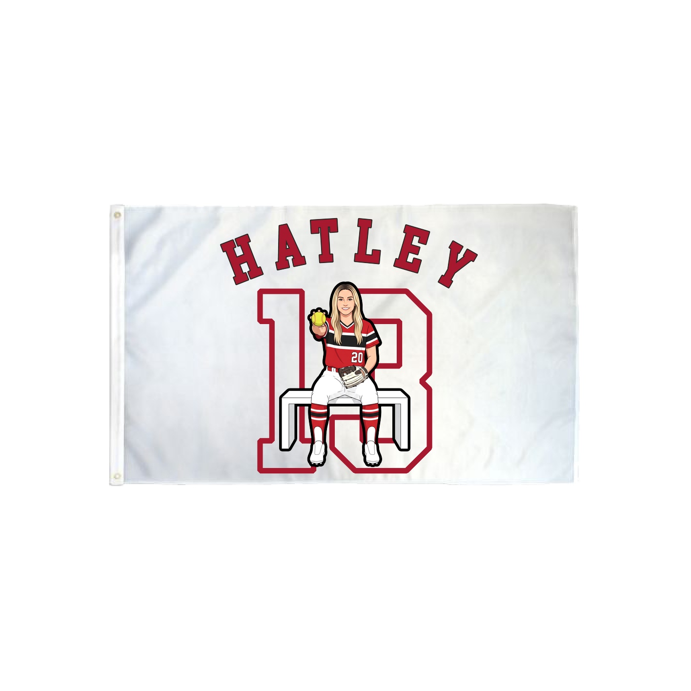3x5 Flag — Shirsey Arch in Classic