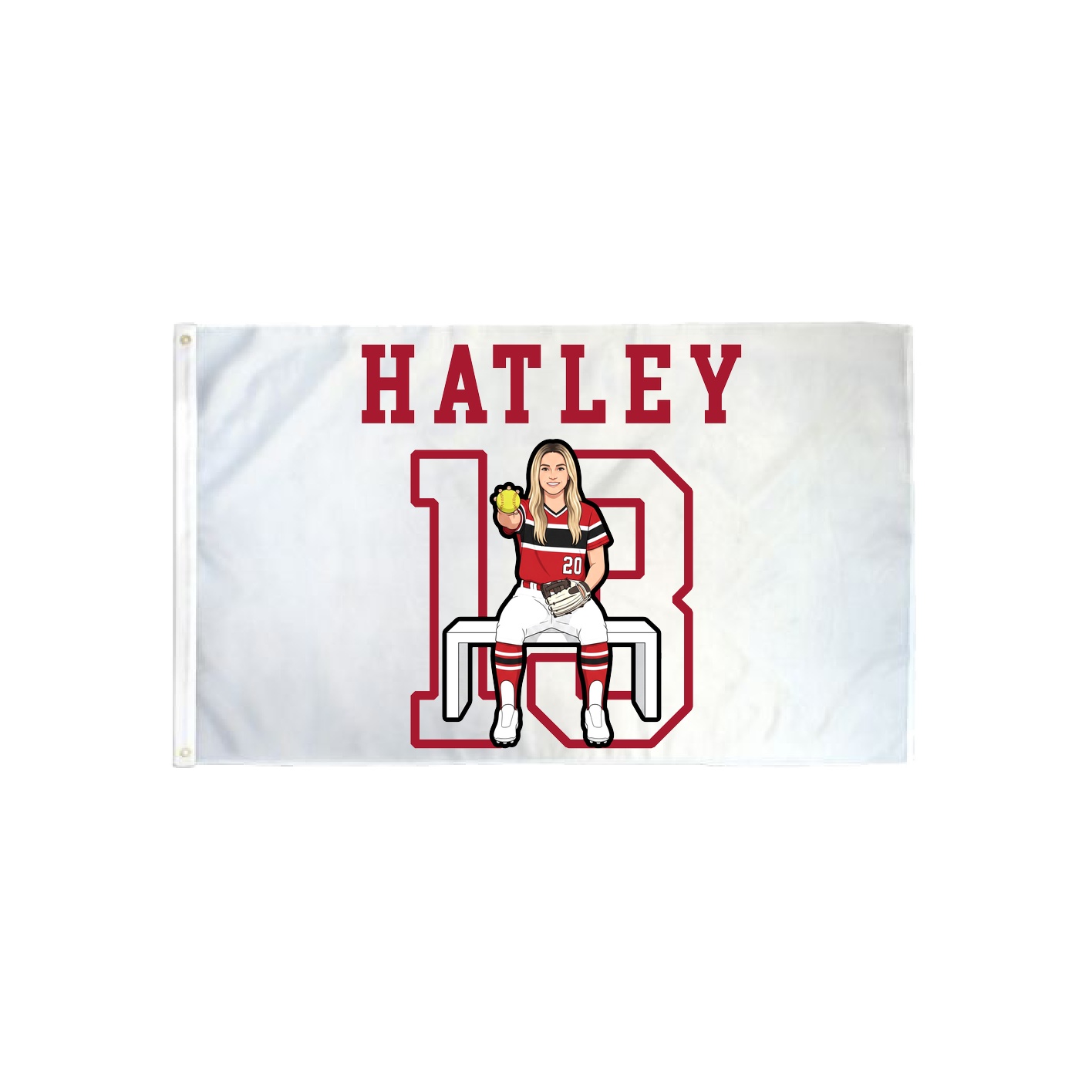 3x5 Flag — Shirsey in Classic