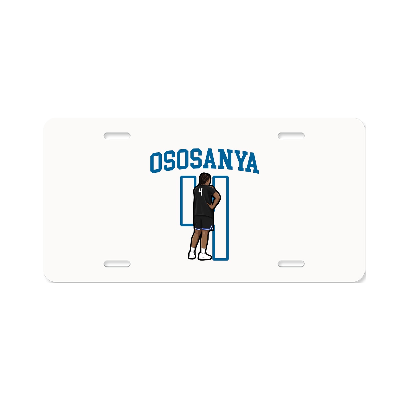 Aluminum License Plate