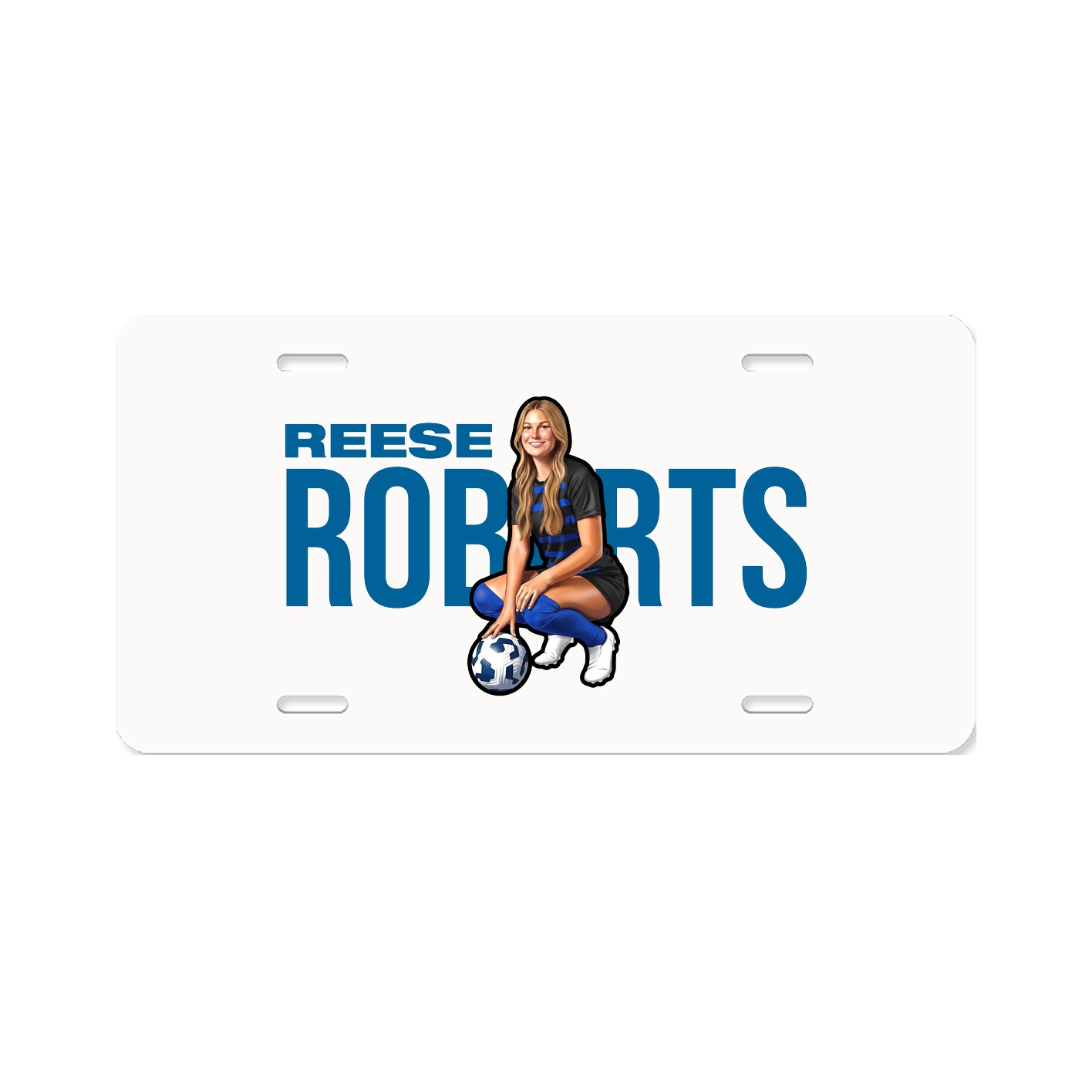 License Plate