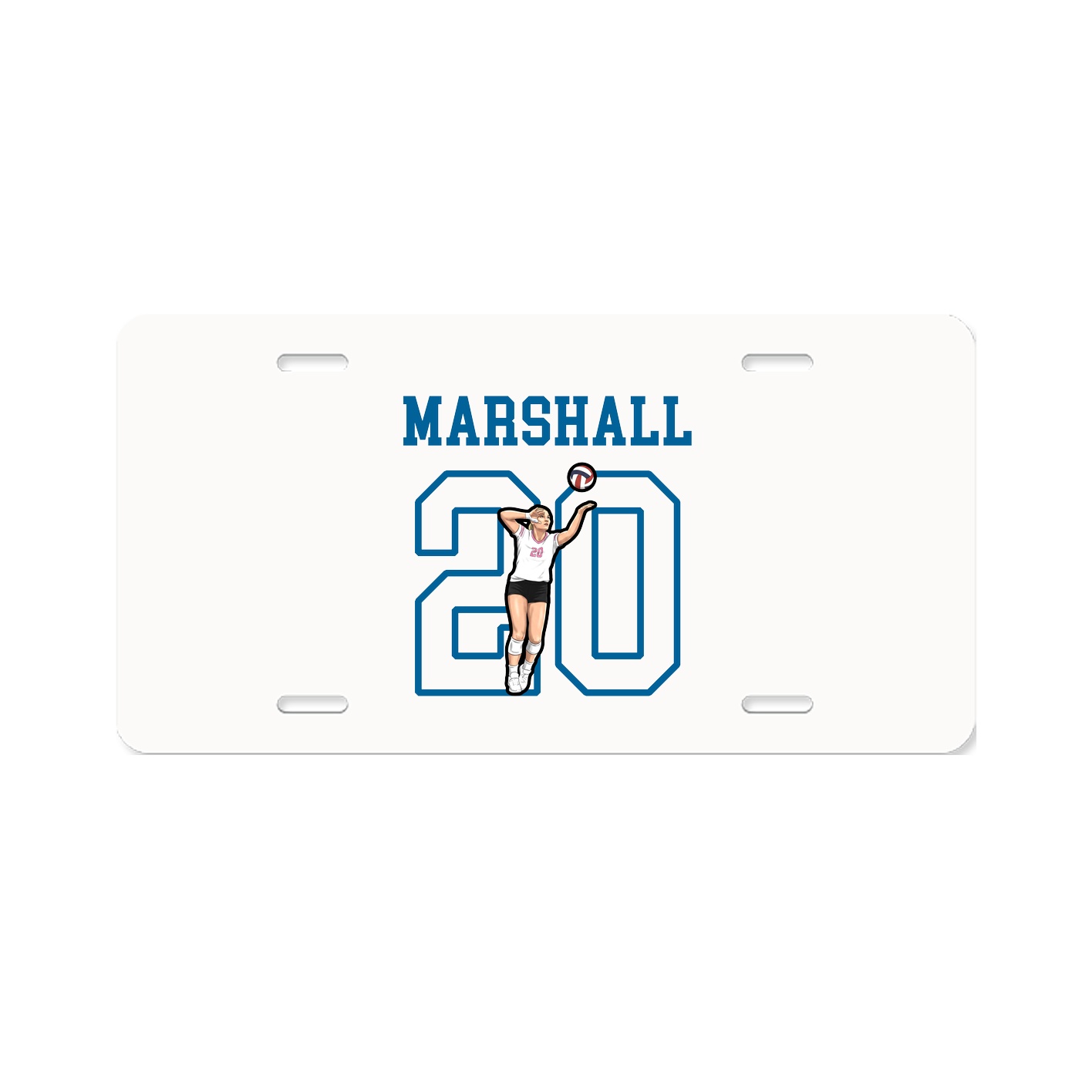 License Plate