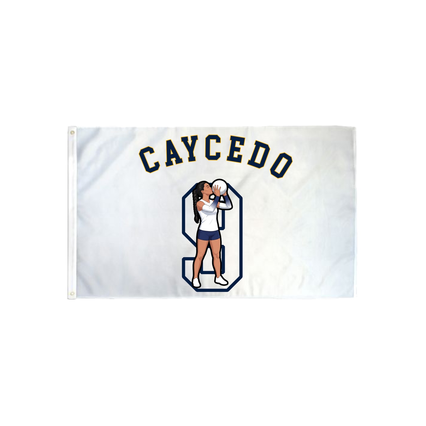 3x5 Flag — Shirsey Arch in Classic