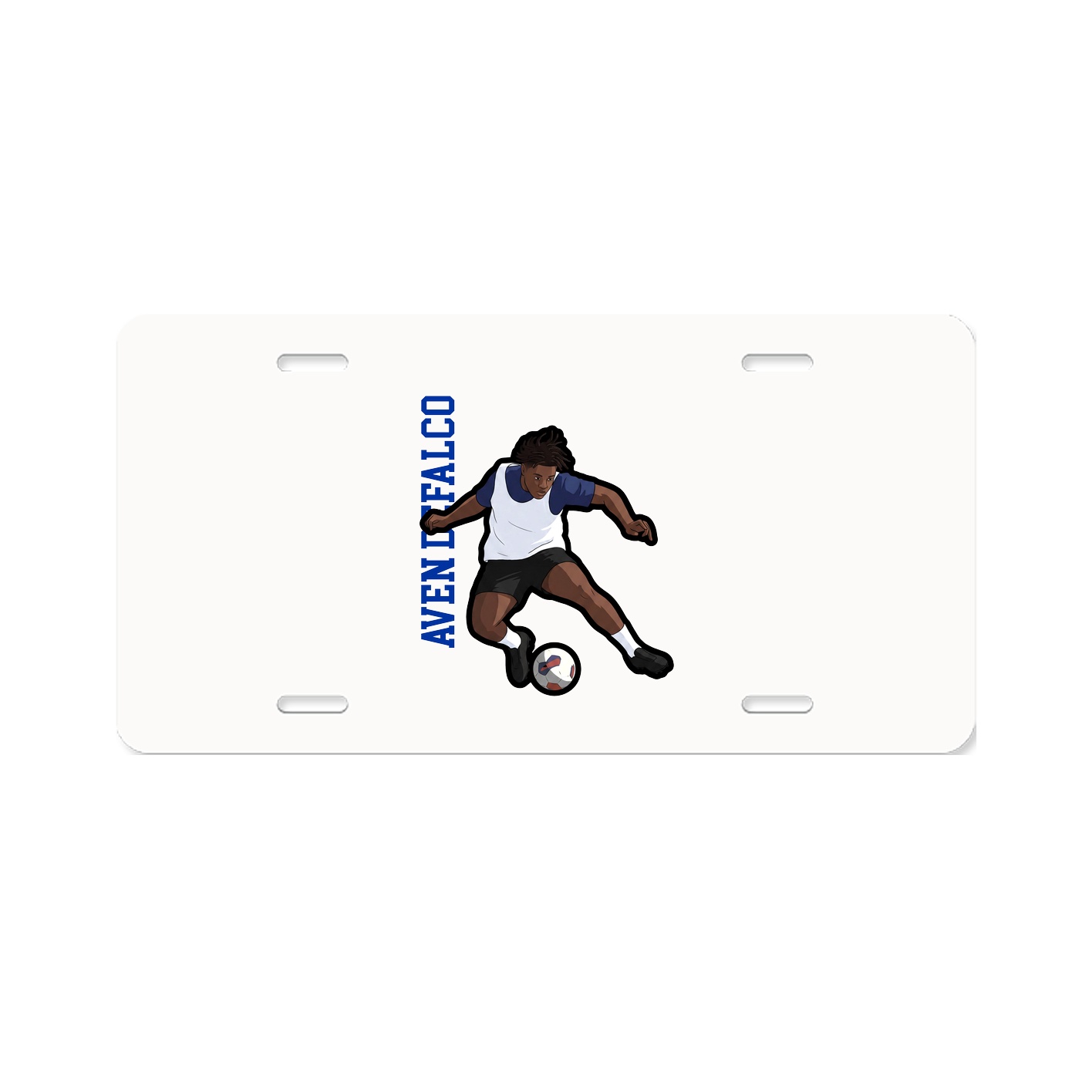 Aluminum License Plate