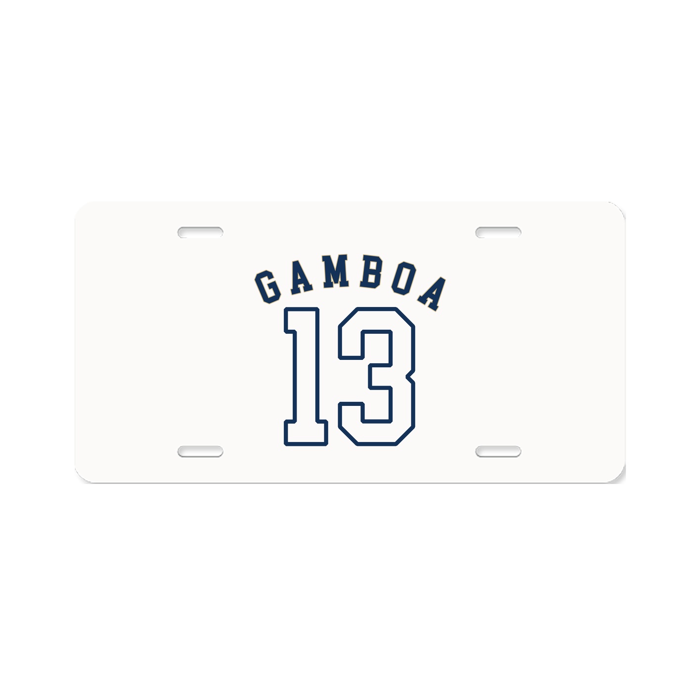 License Plate
