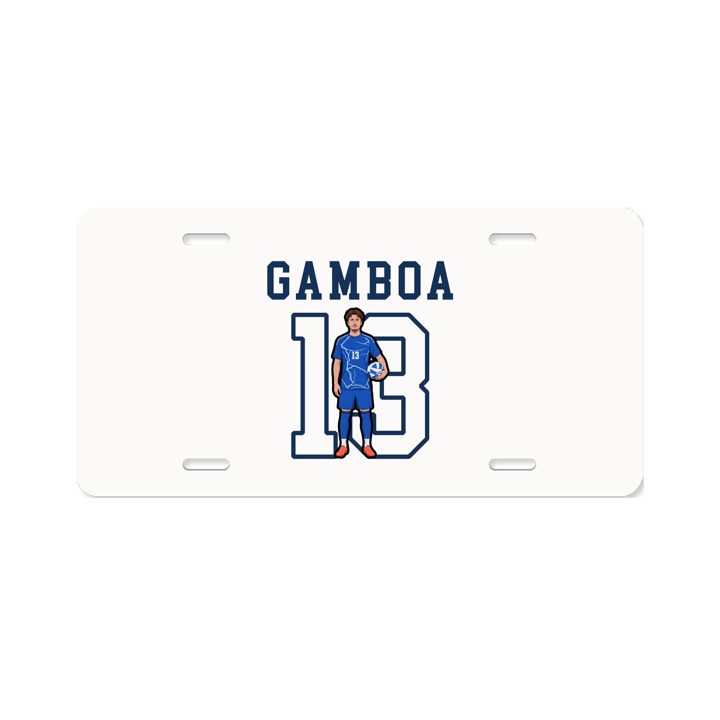 License Plate