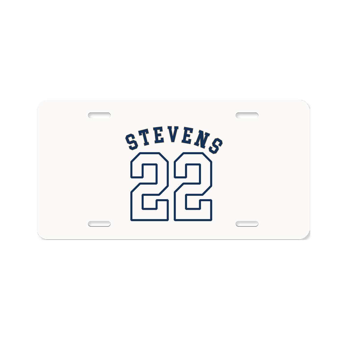 License Plate