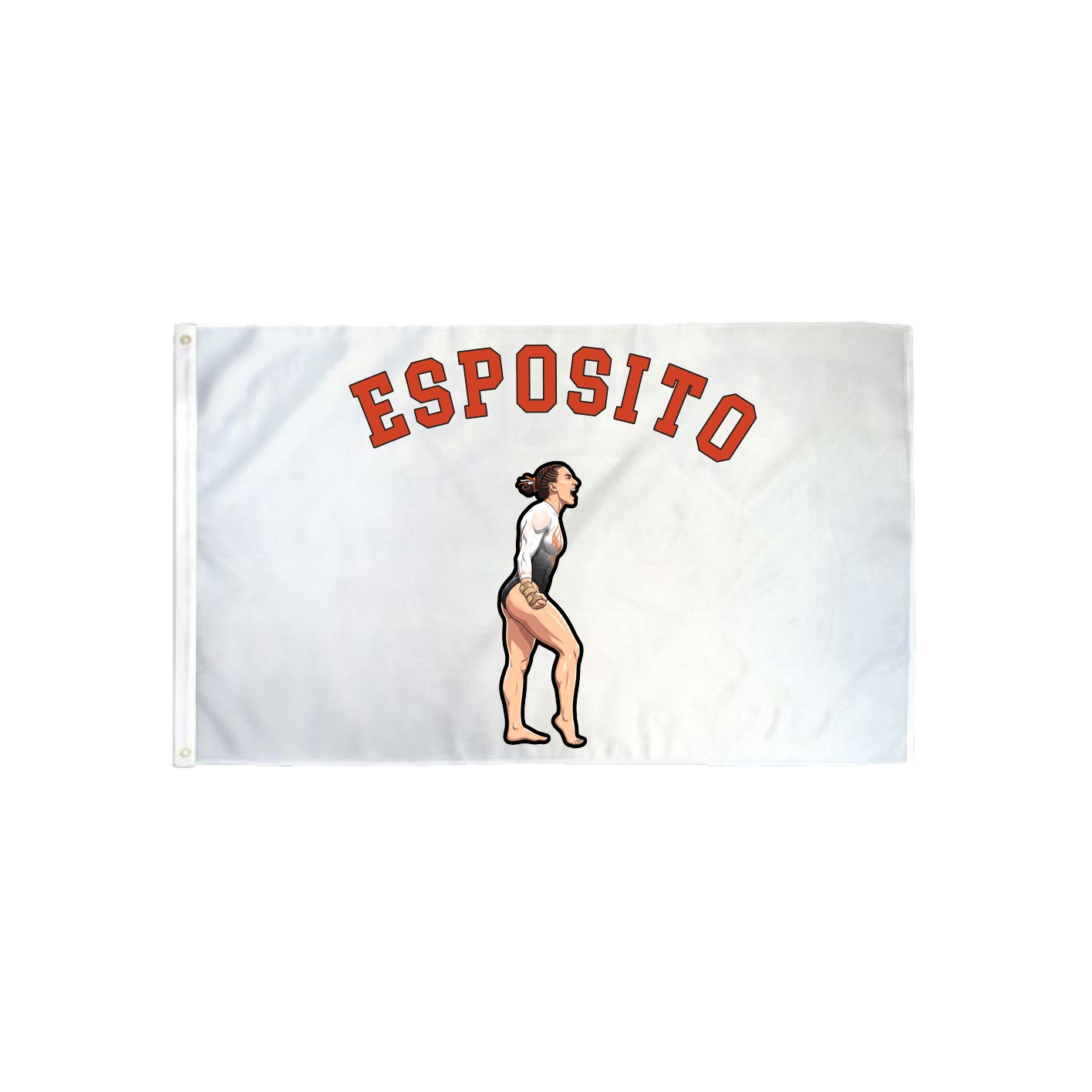 3x5 Flag — Shirsey Arch in Classic