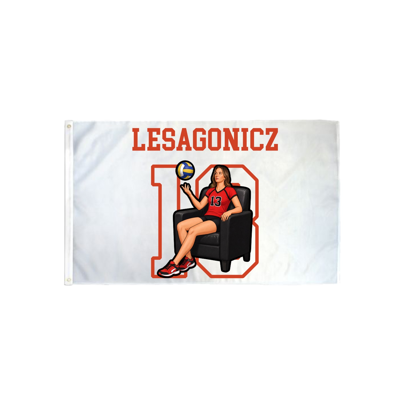 3x5 Flag — Shirsey in Classic