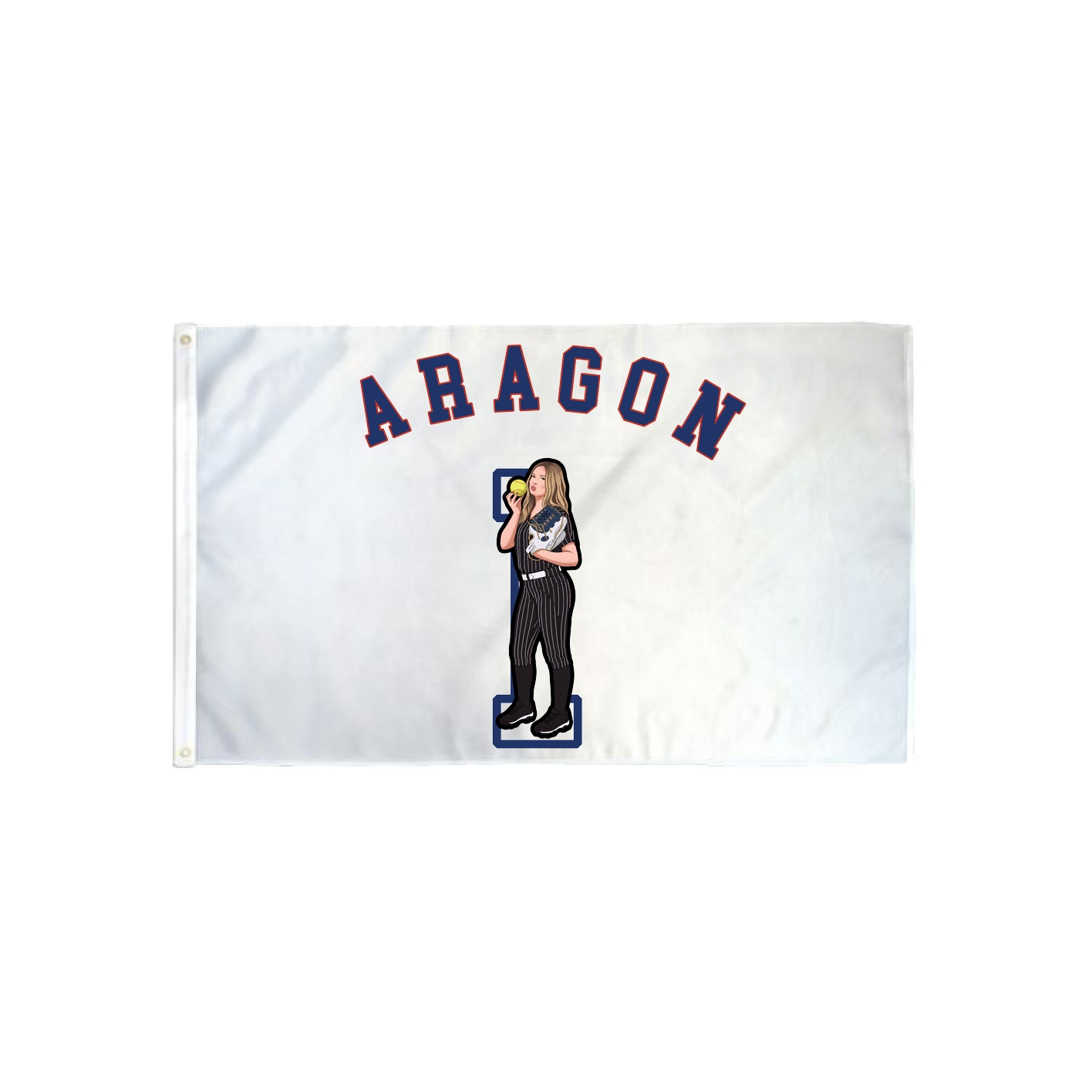 3x5 Flag — Shirsey Arch in Classic
