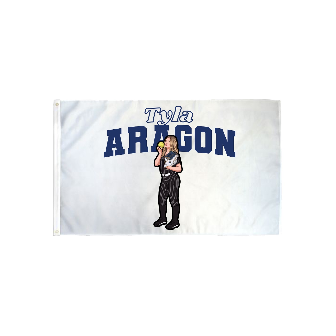 3x5 Flag — Name Arch in Classic