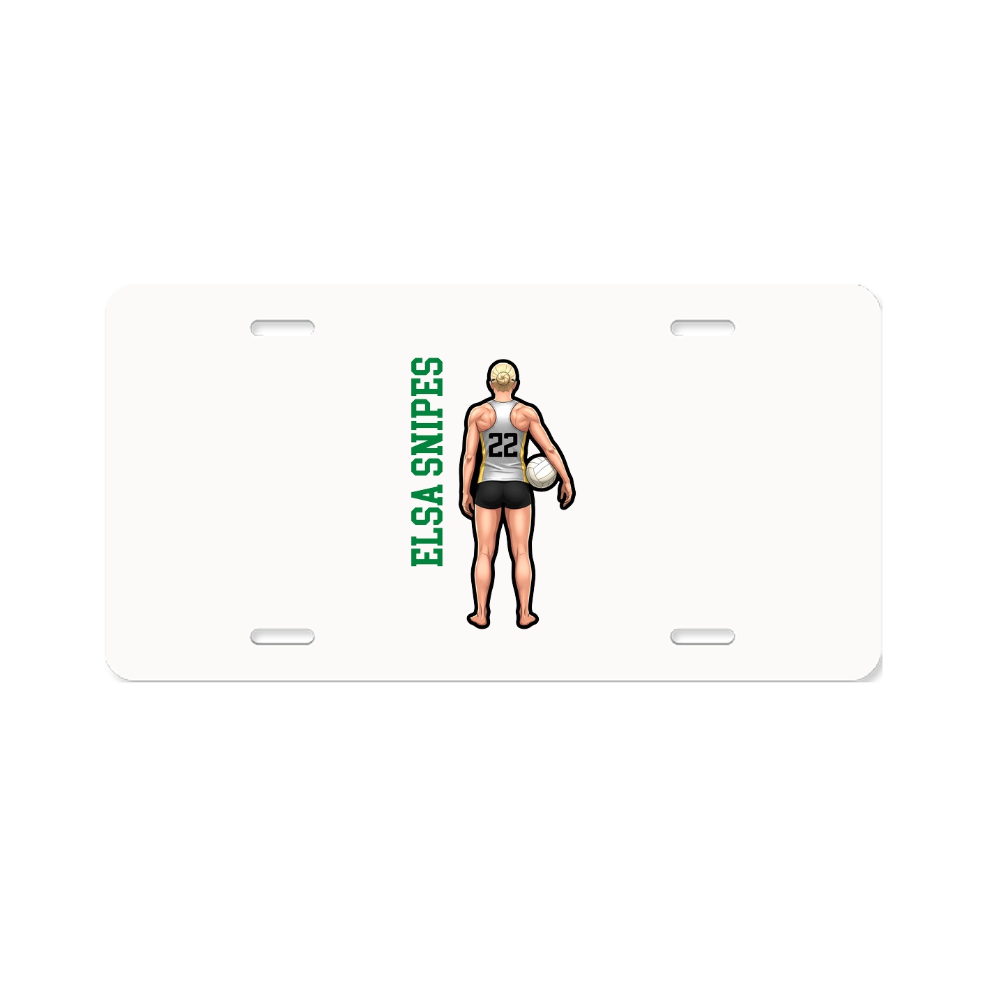 Aluminum License Plate