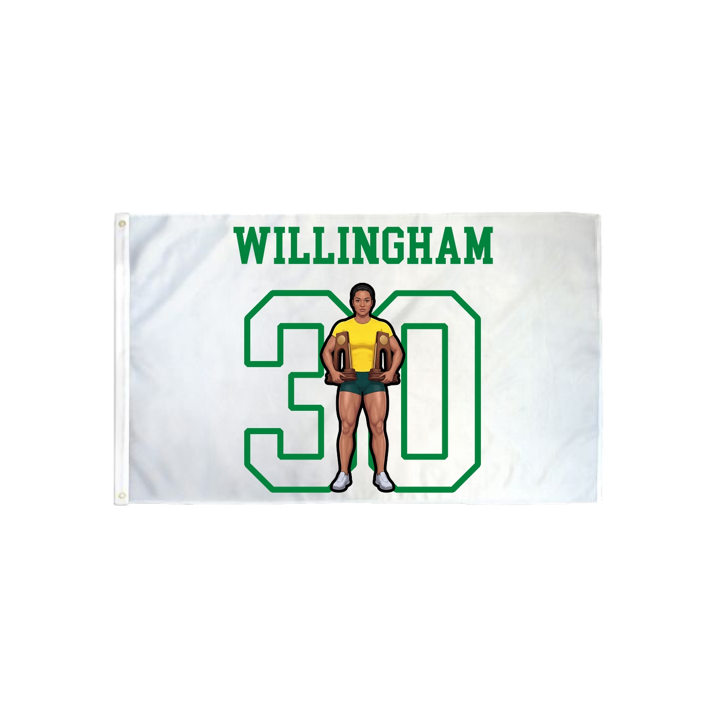 3x5 Flag — Shirsey in Classic