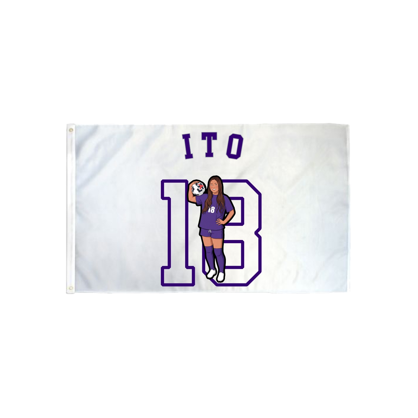 3x5 Flag — Shirsey Arch in Classic