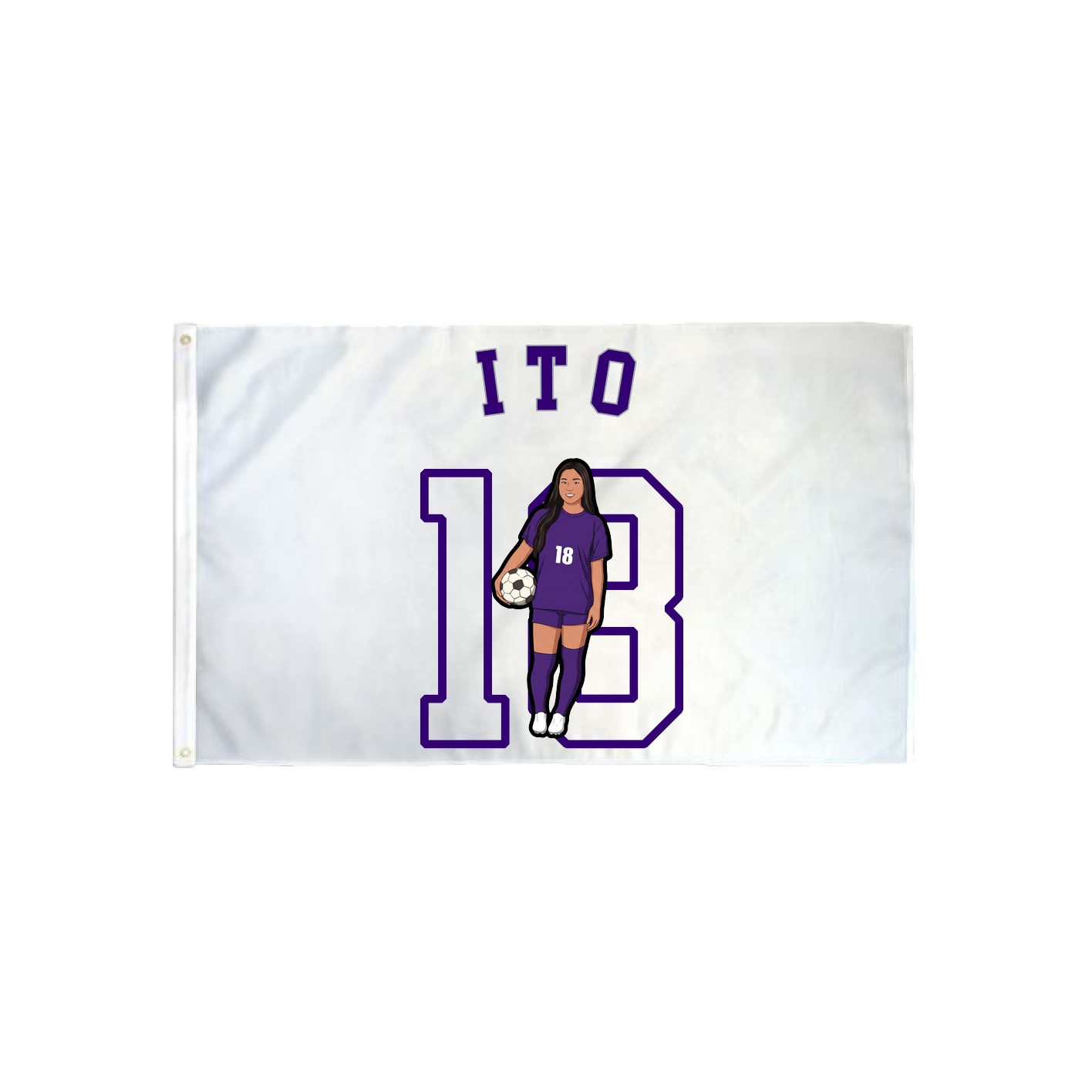 3x5 Flag — Shirsey Arch in Classic