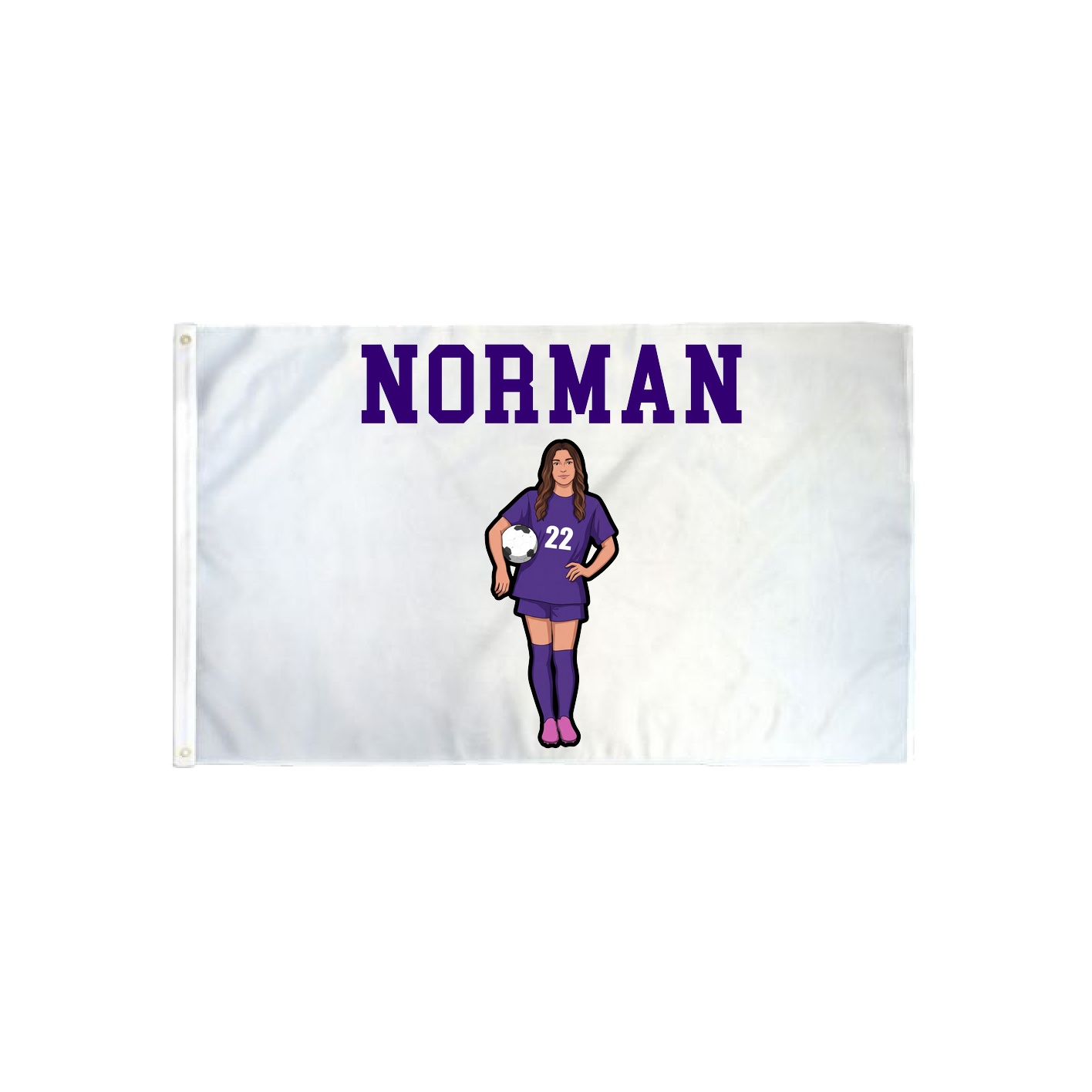 3x5 Flag — Shirsey in Classic