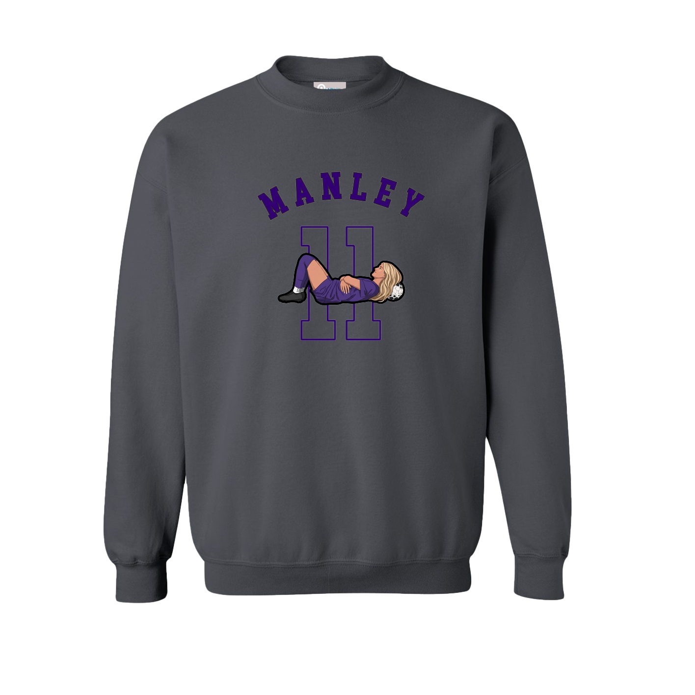 Fleece Crew — Shirsey Arch in Grey
