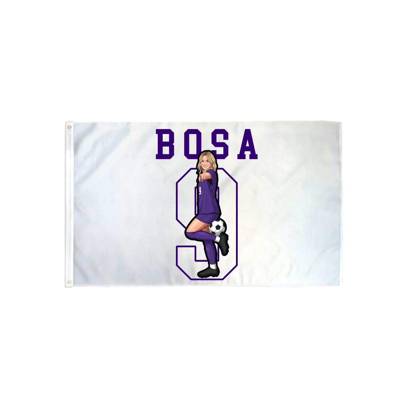 3x5 Flag — Shirsey in Classic