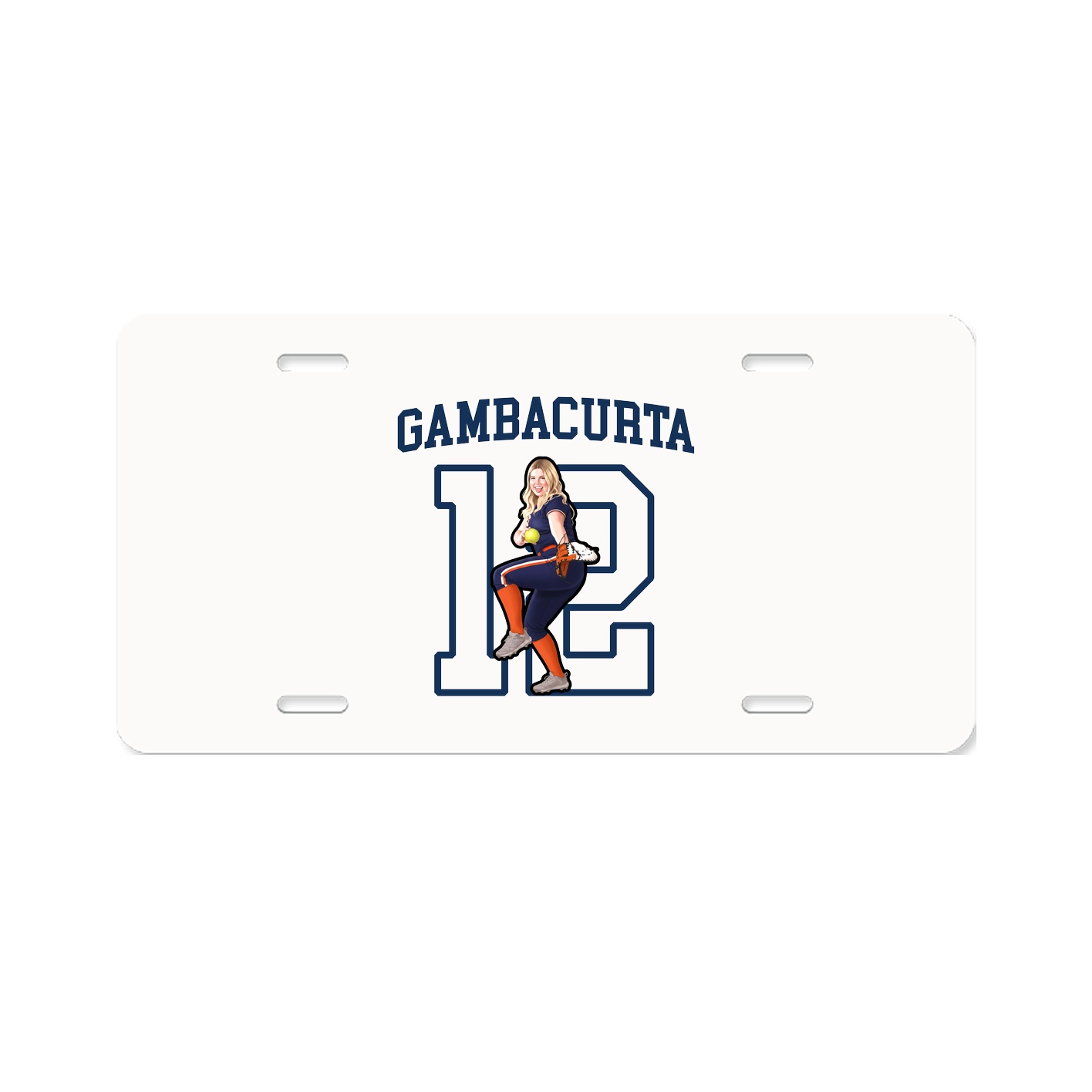 Aluminum License Plate