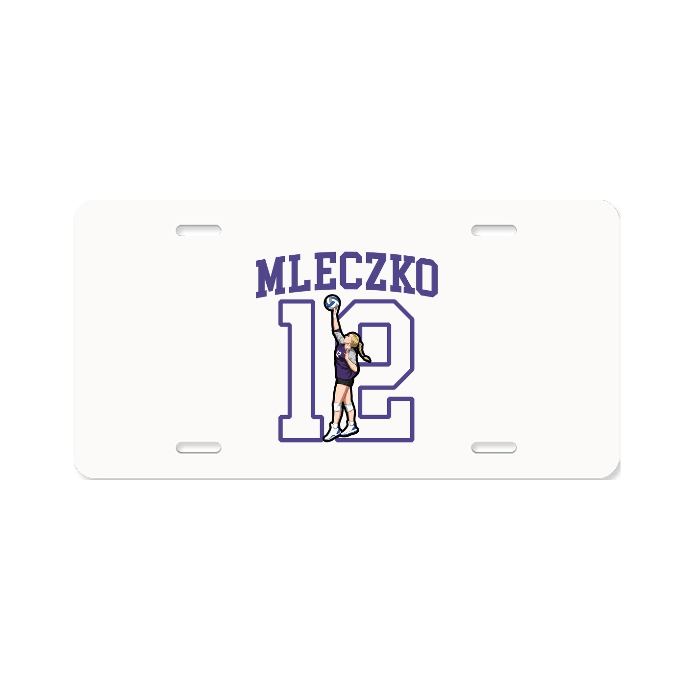 Aluminum License Plate