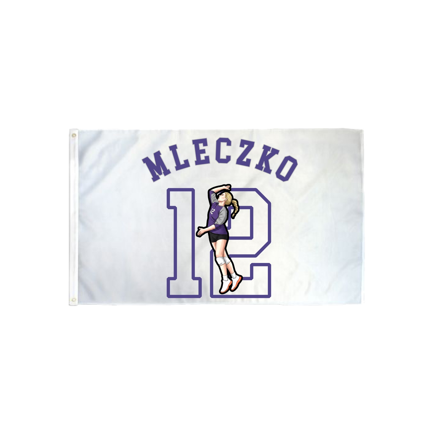 3x5 Flag — Shirsey Arch in Classic