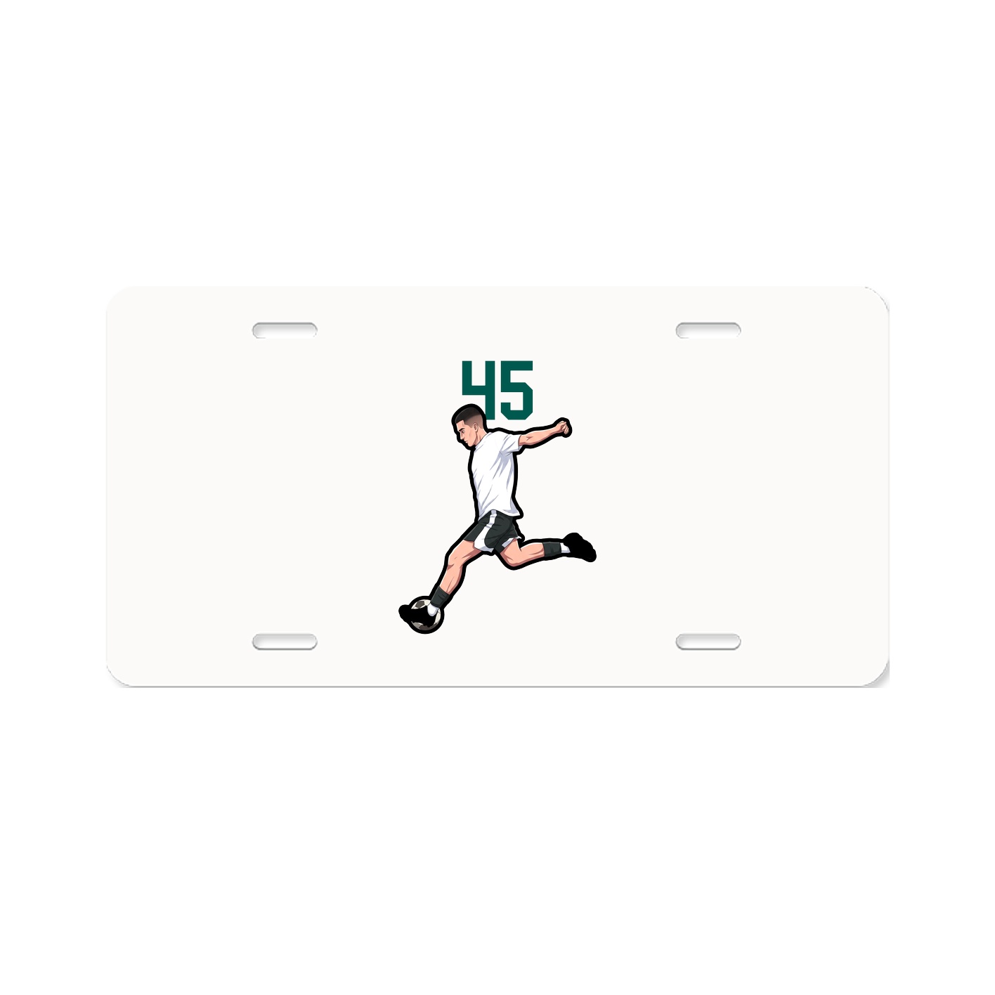 Aluminum License Plate