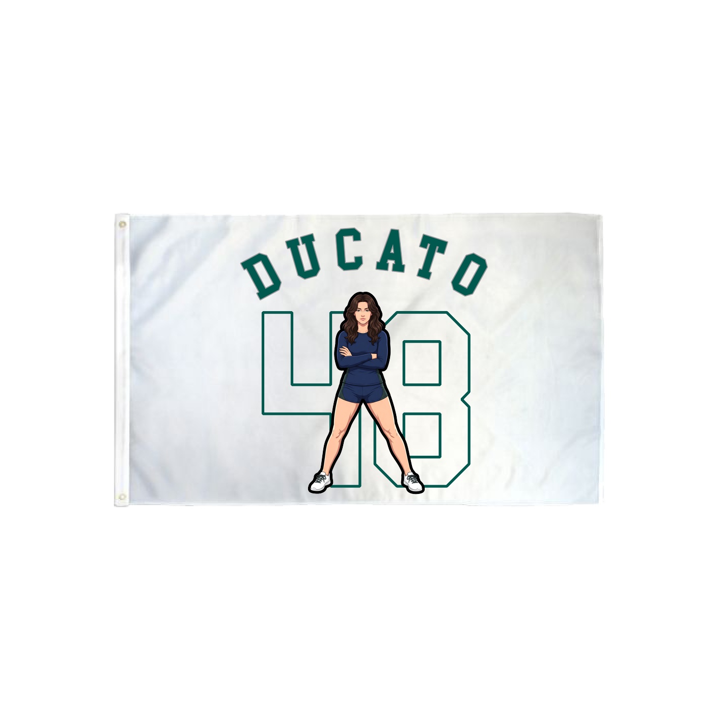3x5 Flag — Shirsey Arch in Classic