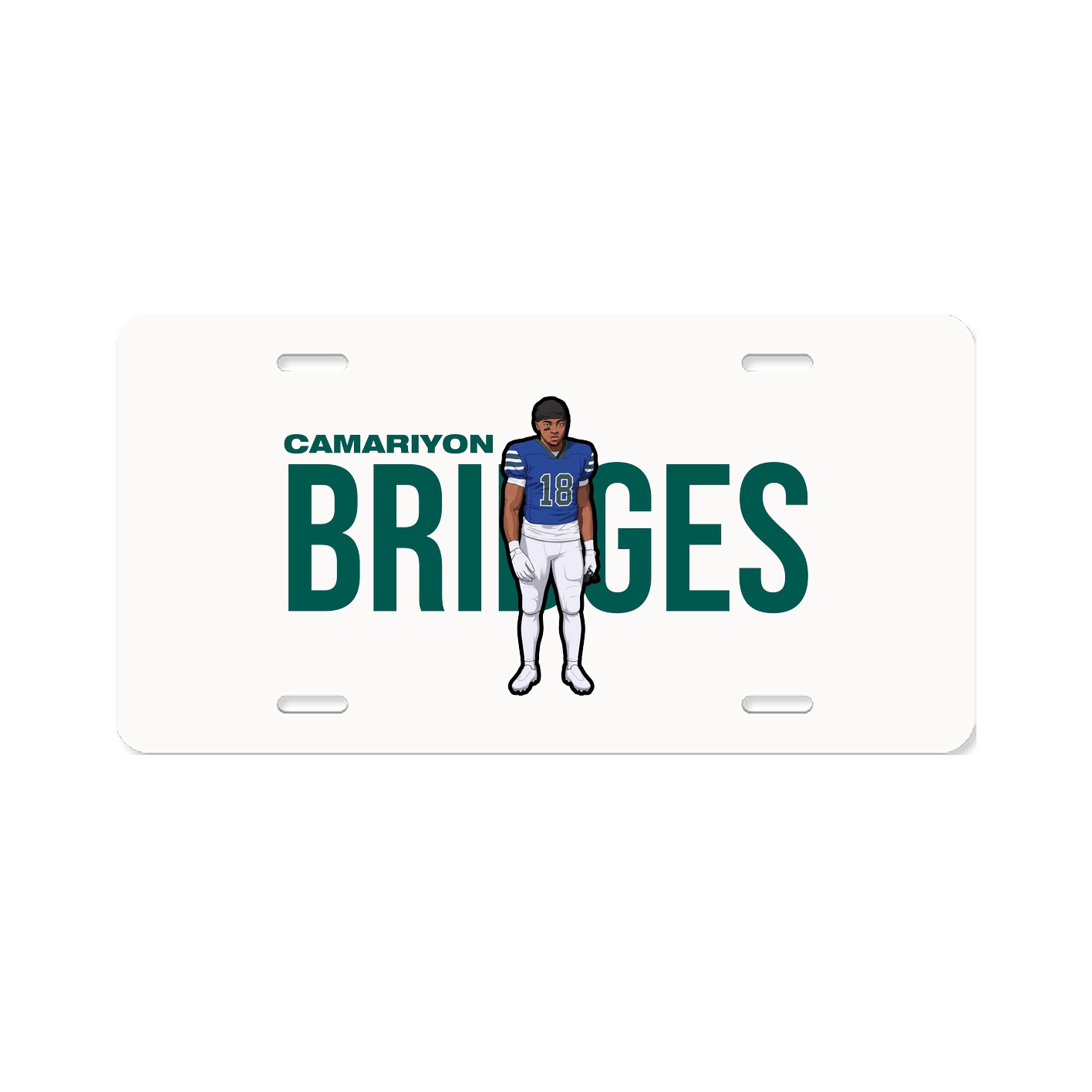 License Plate
