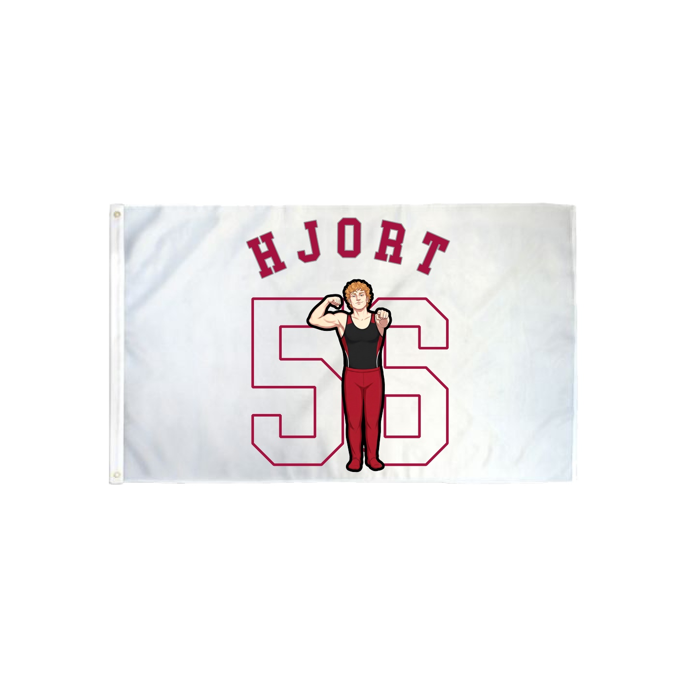 3x5 Flag — Shirsey Arch in Classic