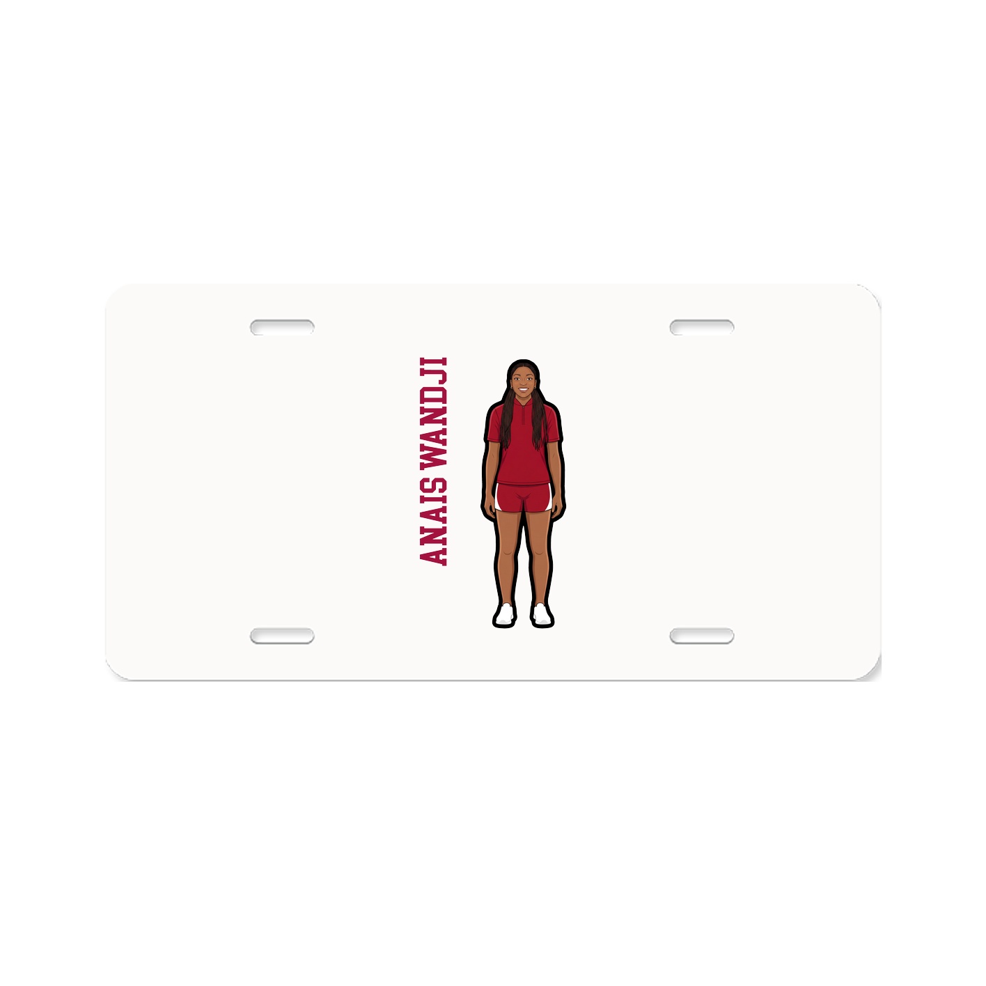 Aluminum License Plate