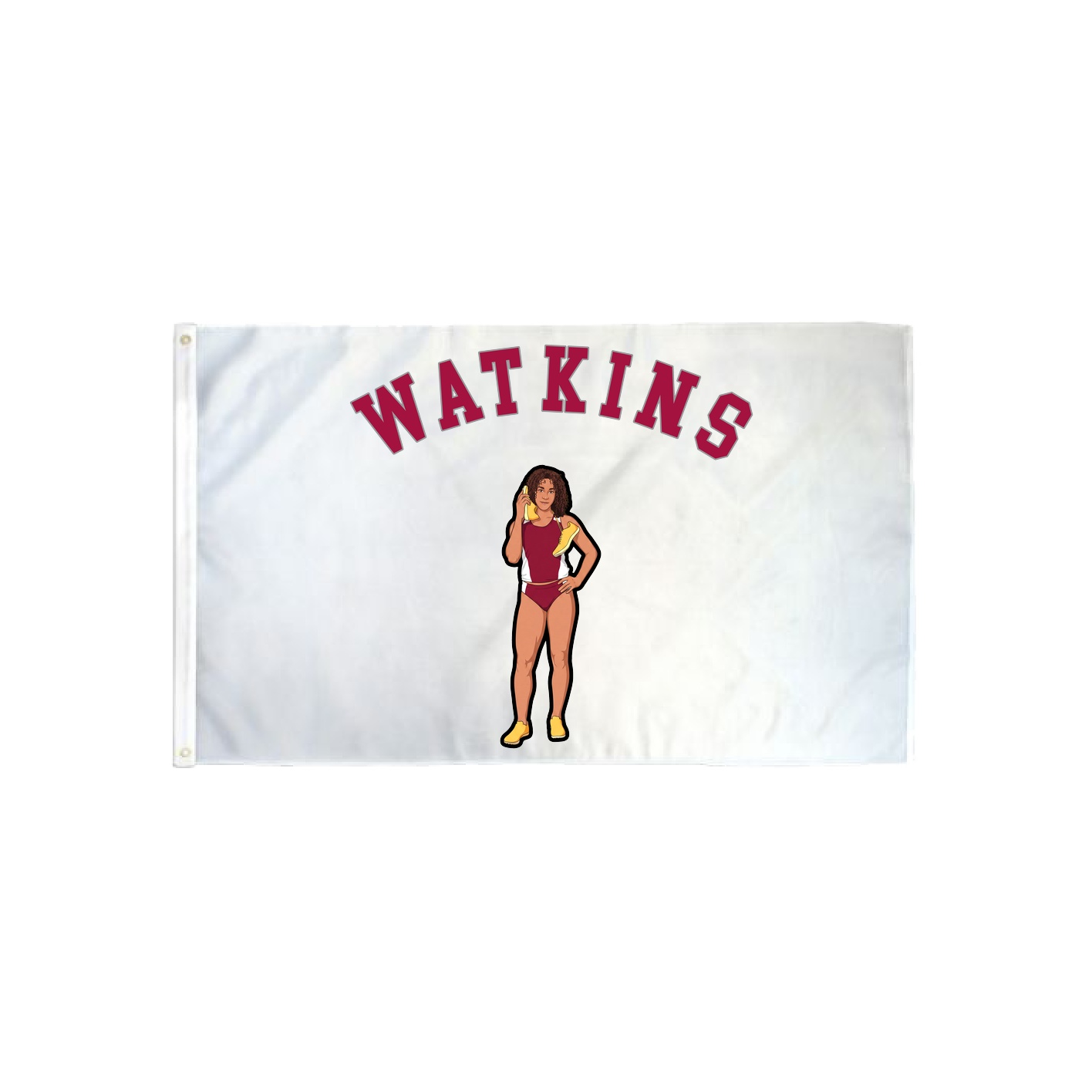 3x5 Flag — Shirsey Arch in Classic