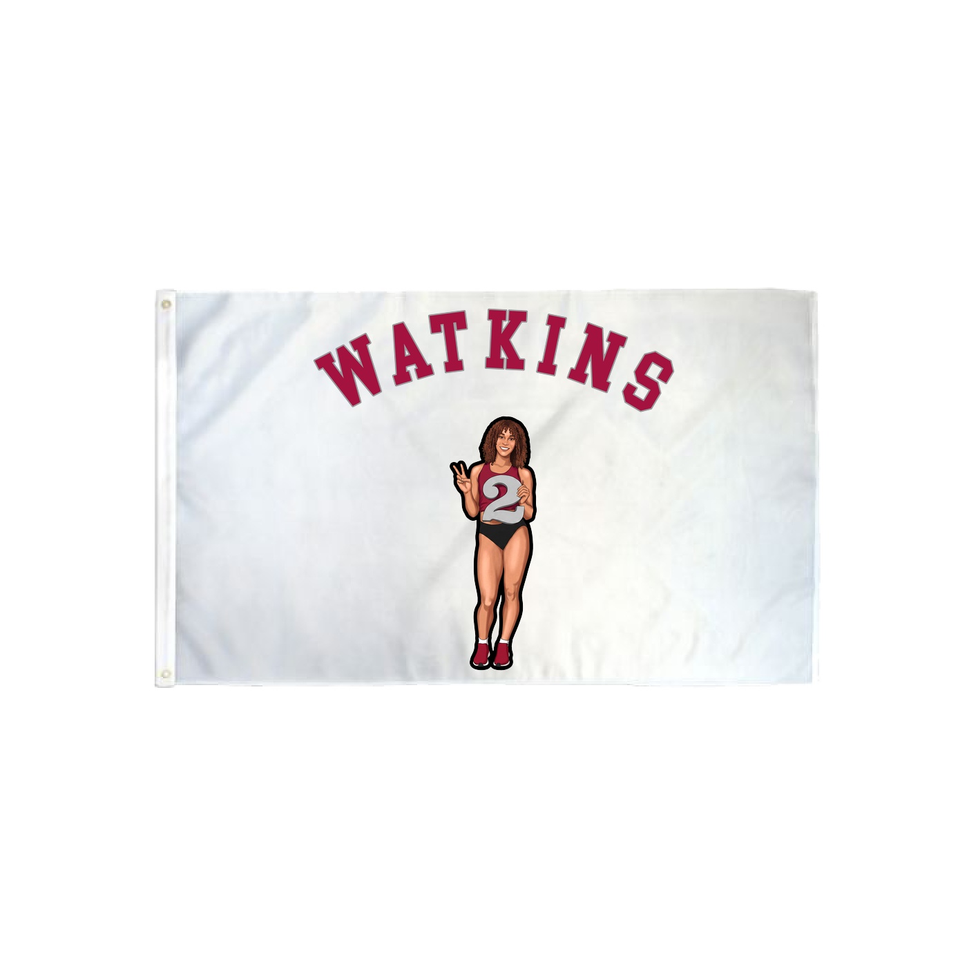 3x5 Flag — Shirsey Arch in Classic