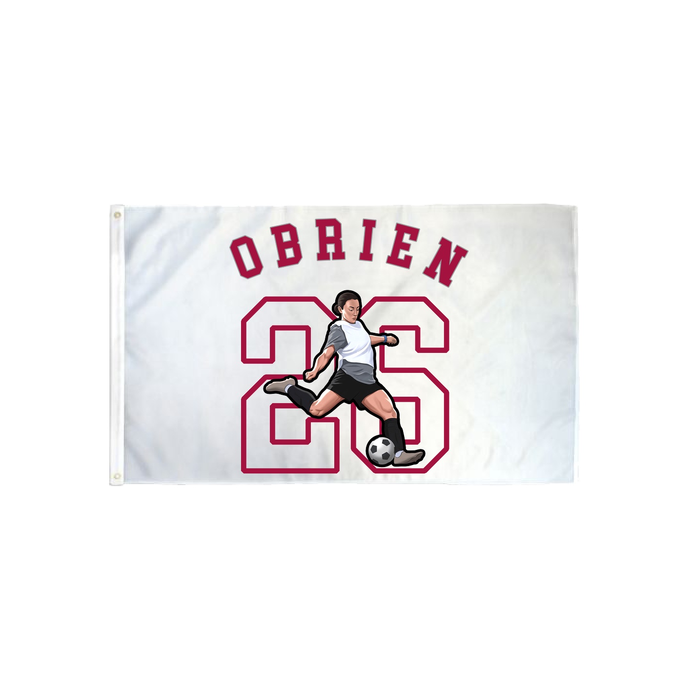 3x5 Flag — Shirsey Arch in Classic