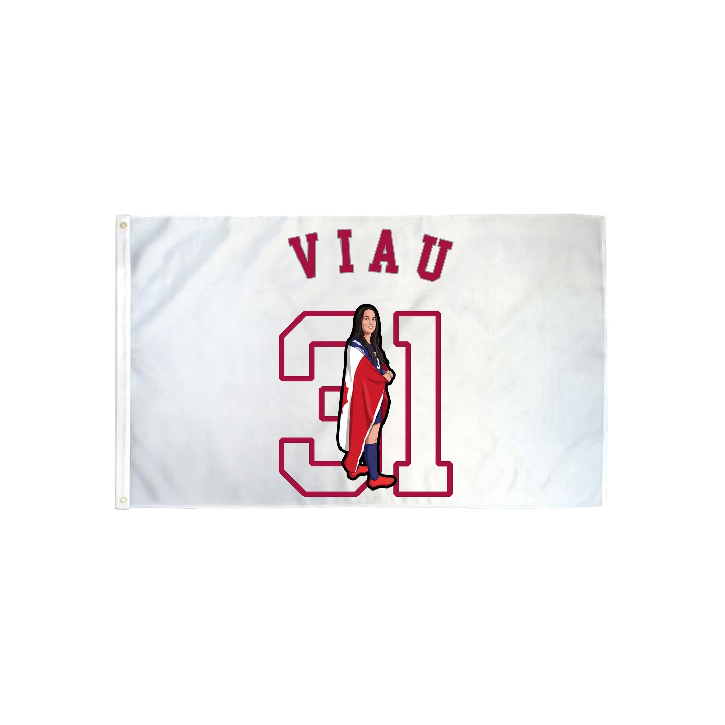 3x5 Flag — Shirsey Arch in Classic