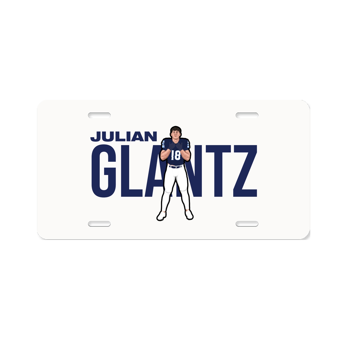 License Plate