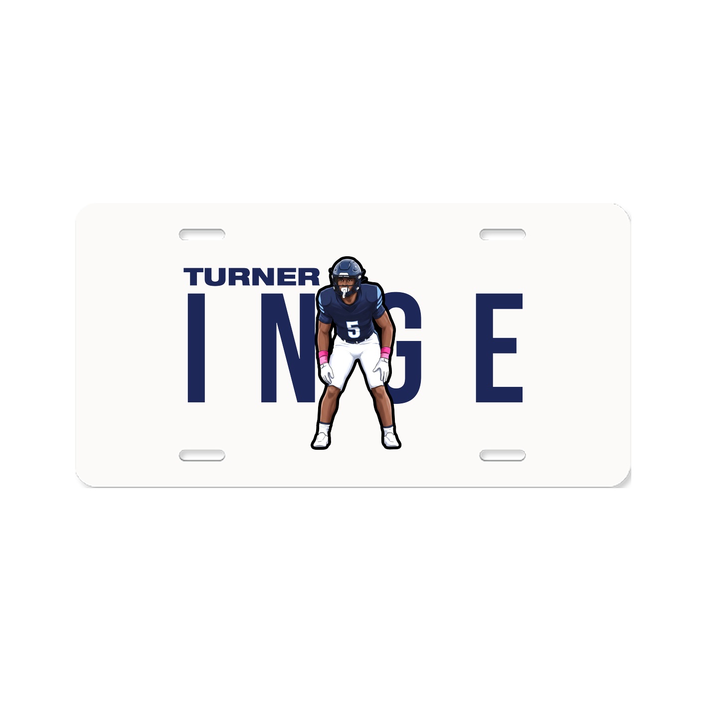 License Plate