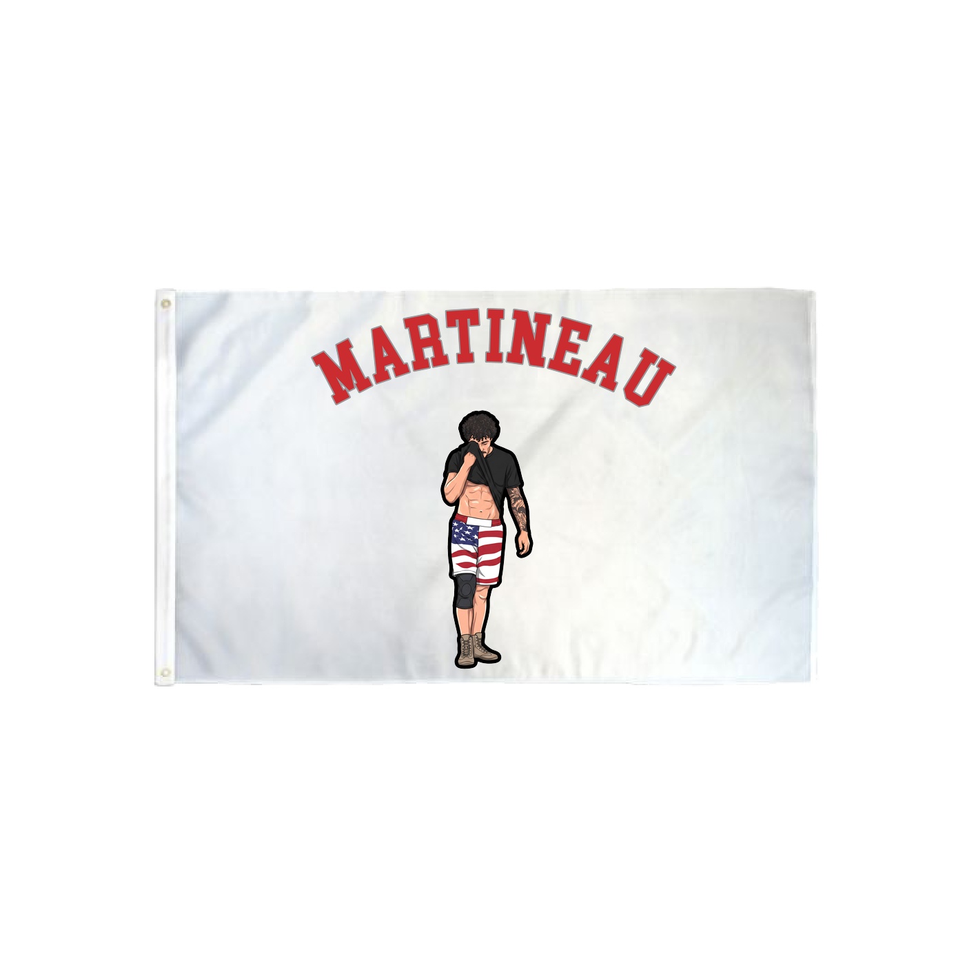 3x5 Flag — Shirsey Arch in Classic