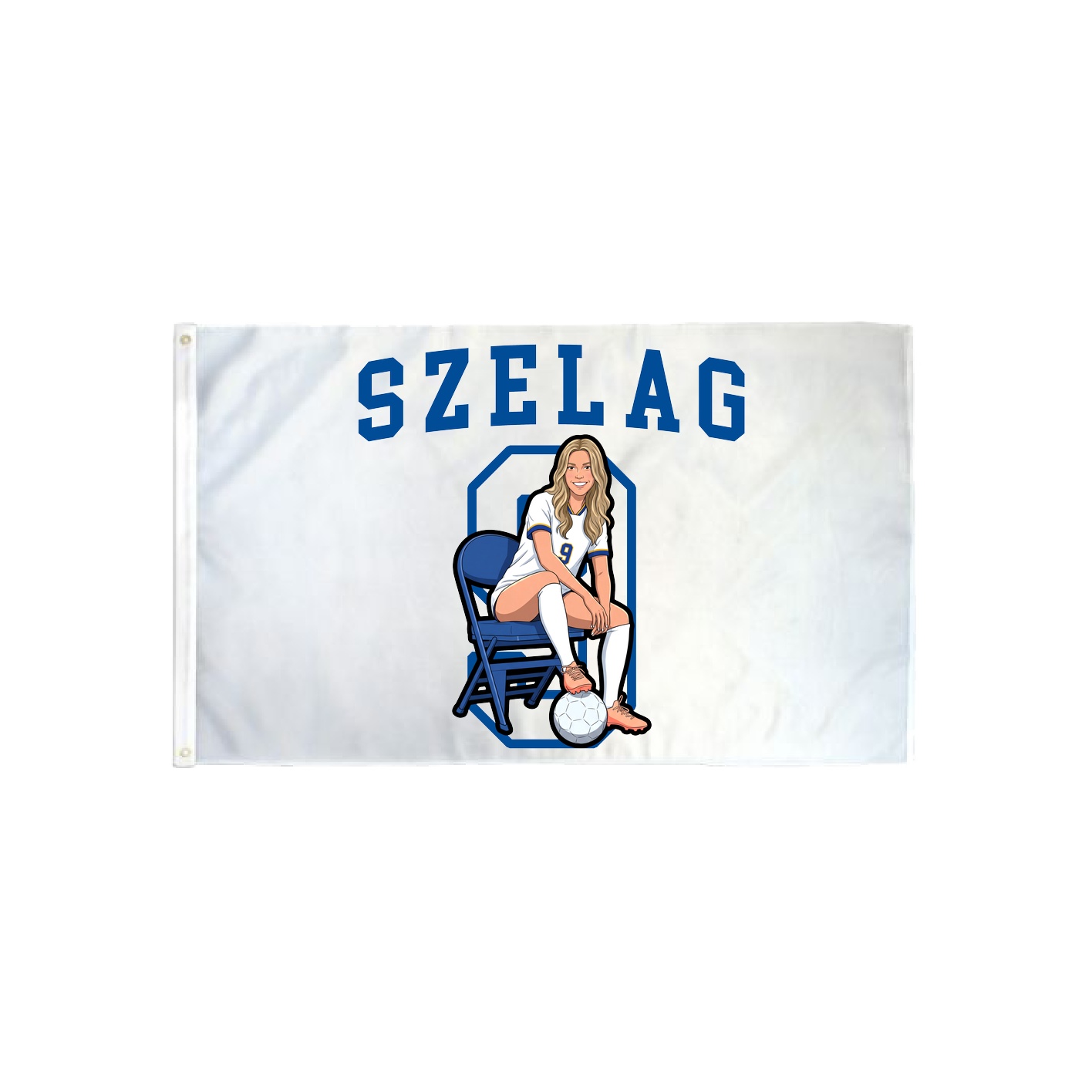 3x5 Flag — Shirsey in Classic