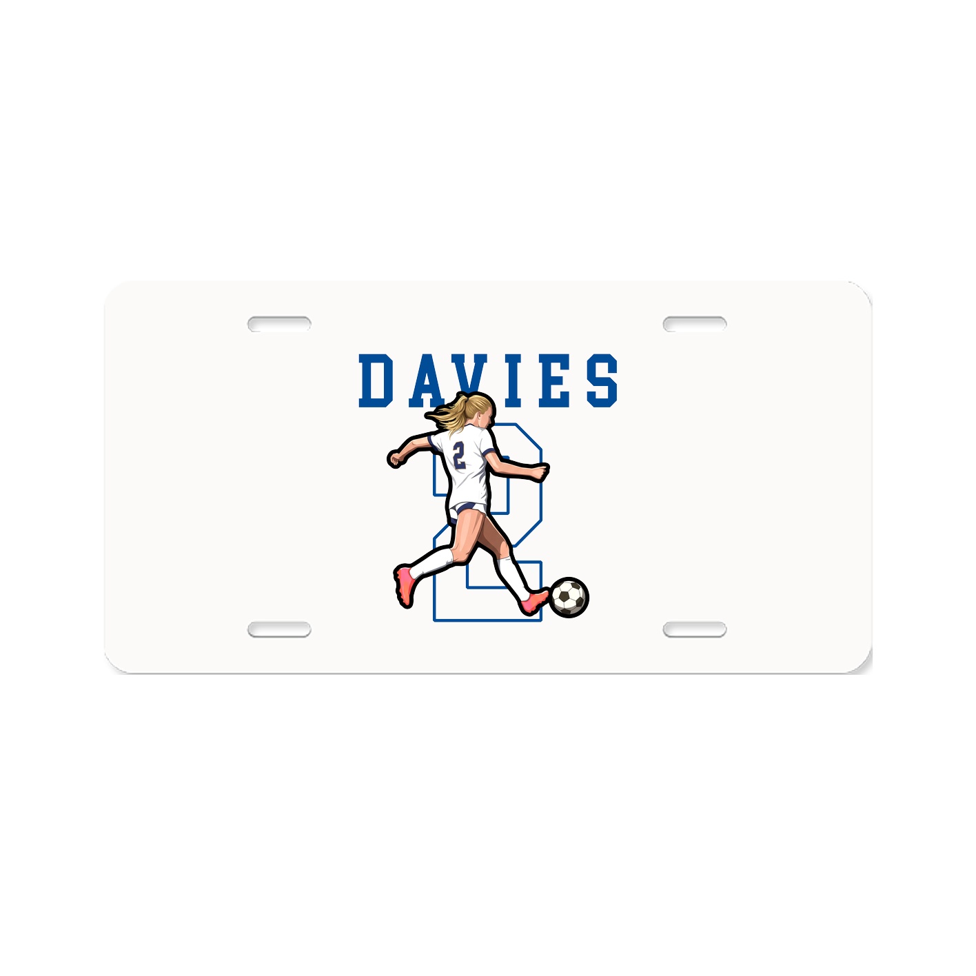 License Plate